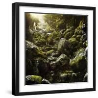 Aged Boulders Covered with Moss in a Misty Forest, Ritsa Nature Reserve-null-Framed Photographic Print