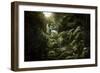 Aged Boulders Covered with Moss in the Ritsa Nature Reserve. Abkhazia-null-Framed Photographic Print