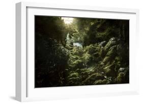 Aged Boulders Covered with Moss in the Ritsa Nature Reserve. Abkhazia-null-Framed Photographic Print