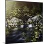 Aged Boulders Covered with Moss Lying in a Forest River, Ritsa Nature Reserve-null-Mounted Photographic Print