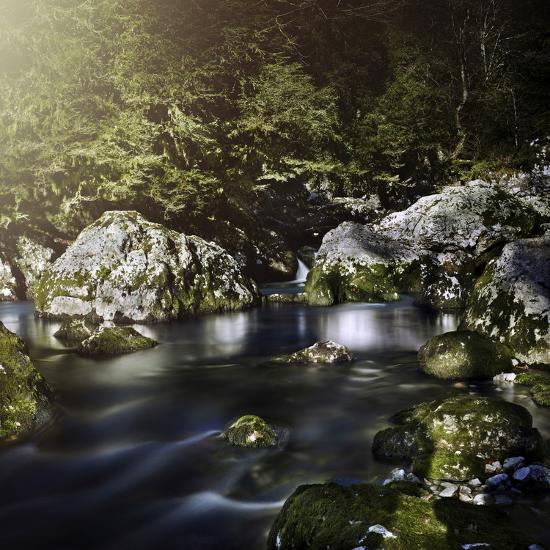 Premium Photographic Print, , large