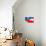 Aged Hand Sewn American Flag with Shallow Focus-CherylCasey-Photographic Print displayed on a wall