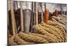 Aged Marine Ropes-Photosebia-Mounted Photographic Print