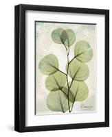 Aged Stone Eucalyptus-Albert Koetsier-Framed Art Print