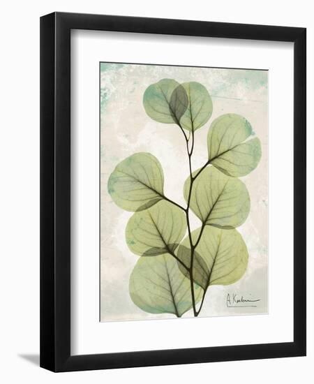 Aged Stone Eucalyptus-Albert Koetsier-Framed Art Print