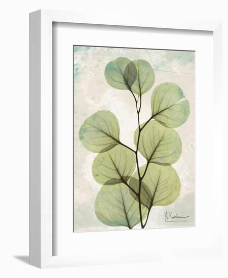 Aged Stone Eucalyptus-Albert Koetsier-Framed Art Print