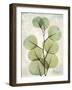 Aged Stone Eucalyptus-Albert Koetsier-Framed Art Print