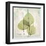 Aged stone-Albert Koetsier-Framed Art Print