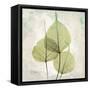 Aged stone-Albert Koetsier-Framed Stretched Canvas