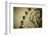 Aged Vintage Photo of Carnival Ferris Wheel with Toned F/X-Kuzma-Framed Photographic Print