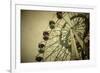 Aged Vintage Photo of Carnival Ferris Wheel with Toned F/X-Kuzma-Framed Photographic Print