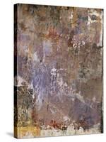 Aged Wall I-Alexys Henry-Stretched Canvas