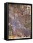 Aged Wall I-Alexys Henry-Framed Stretched Canvas