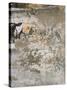 Aged Wall III-Alexys Henry-Stretched Canvas