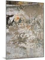 Aged Wall III-Alexys Henry-Mounted Giclee Print