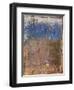 Aged Wall IX-Alexys Henry-Framed Giclee Print