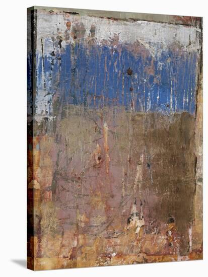 Aged Wall IX-Alexys Henry-Stretched Canvas