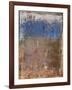 Aged Wall IX-Alexys Henry-Framed Giclee Print
