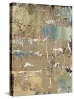 Aged Wall VIII-Alexys Henry-Stretched Canvas