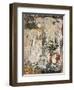 Aged Wall X-Alexys Henry-Framed Giclee Print