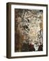 Aged Wall XII-Alexys Henry-Framed Giclee Print