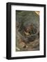 Agelena Labyrinthica, Funnel-Web Spider, Den, Prey, Grasshopper-Harald Kroiss-Framed Photographic Print