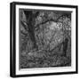 Ages-Tomislav Bogovic-Framed Photographic Print