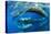 Aggregation of Sperm whales, Dominica, Caribbean Sea-Franco Banfi-Stretched Canvas