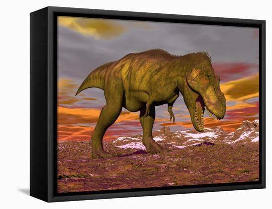 Aggressive Tyrannosaurus Rex Dinosaur Walking in the Desert-null-Framed Stretched Canvas