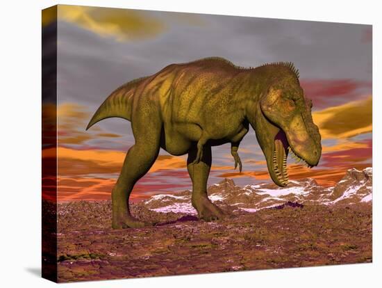 Aggressive Tyrannosaurus Rex Dinosaur Walking in the Desert-null-Stretched Canvas