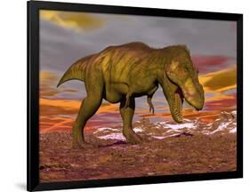 Aggressive Tyrannosaurus Rex Dinosaur Walking in the Desert-null-Framed Art Print