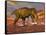 Aggressive Tyrannosaurus Rex Dinosaur Walking in the Desert-null-Framed Stretched Canvas