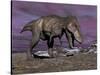 Aggressive Tyrannosaurus Rex Dinosaur Walking in the Desert-null-Stretched Canvas