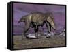 Aggressive Tyrannosaurus Rex Dinosaur Walking in the Desert-null-Framed Stretched Canvas