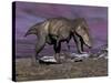 Aggressive Tyrannosaurus Rex Dinosaur Walking in the Desert-null-Stretched Canvas