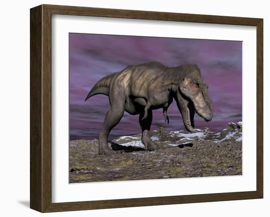 Aggressive Tyrannosaurus Rex Dinosaur Walking in the Desert-null-Framed Art Print