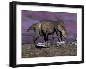 Aggressive Tyrannosaurus Rex Dinosaur Walking in the Desert-null-Framed Art Print