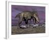 Aggressive Tyrannosaurus Rex Dinosaur Walking in the Desert-null-Framed Art Print