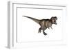 Aggressive Tyrannosaurus Rex Growling, White Background-null-Framed Premium Giclee Print