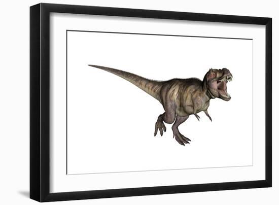 Aggressive Tyrannosaurus Rex Growling, White Background-null-Framed Art Print