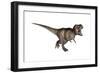 Aggressive Tyrannosaurus Rex Growling, White Background-null-Framed Art Print