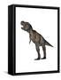 Aggressive Tyrannosaurus Rex Growling, White Background-null-Framed Stretched Canvas