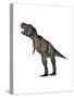 Aggressive Tyrannosaurus Rex Growling, White Background-null-Stretched Canvas