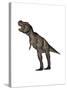 Aggressive Tyrannosaurus Rex Growling, White Background-null-Stretched Canvas