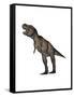 Aggressive Tyrannosaurus Rex Growling, White Background-null-Framed Stretched Canvas