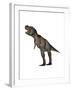 Aggressive Tyrannosaurus Rex Growling, White Background-null-Framed Art Print