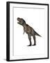 Aggressive Tyrannosaurus Rex Growling, White Background-null-Framed Art Print