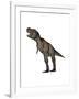 Aggressive Tyrannosaurus Rex Growling, White Background-null-Framed Art Print