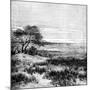 Agha Valley, Central Pampa, Argentina, 1895-null-Mounted Giclee Print