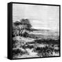 Agha Valley, Central Pampa, Argentina, 1895-null-Framed Stretched Canvas